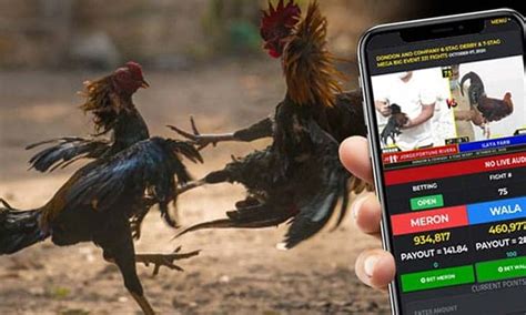 atong ang online sabong app|Atong Ang reveals: E.